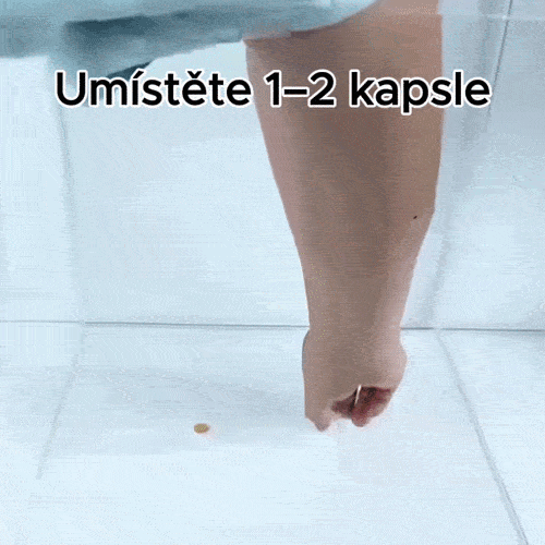 PocketMate organizér pro každodenní použití